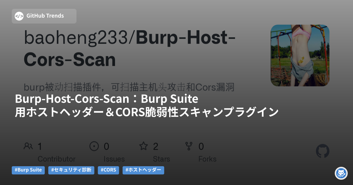 Burp-Host-Cors-Scan:Burp Suite用ホストヘッダー&CORS脆弱性スキャンプラグイン
