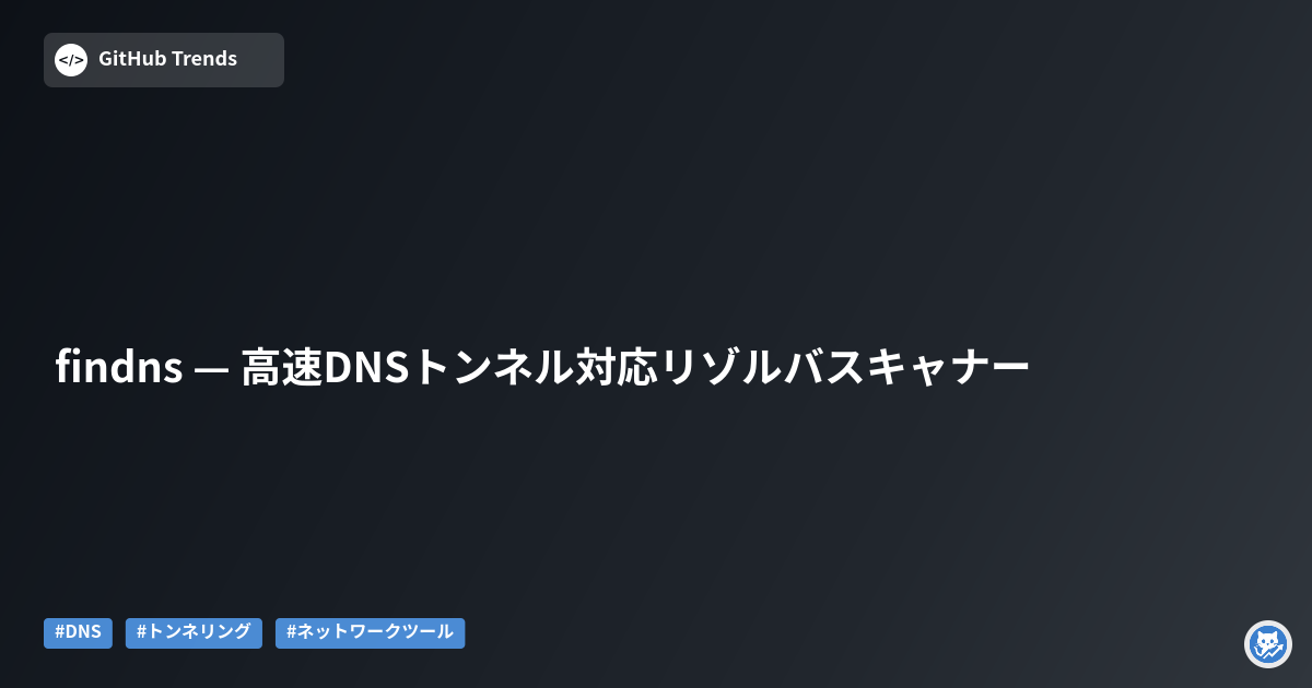 findns — 高速DNSトンネル対応リゾルバスキャナー